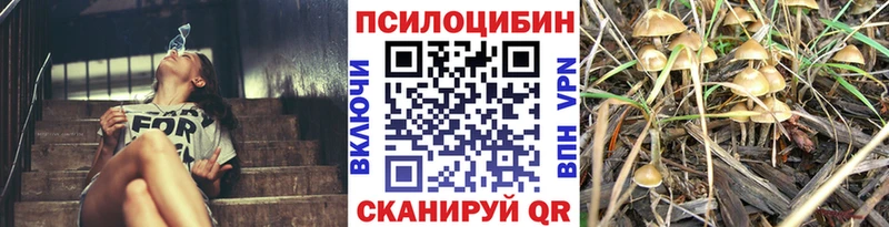 Галлюциногенные грибы Magic Shrooms  дарнет шоп  Махачкала 